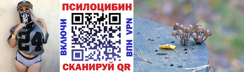 Псилоцибиновые грибы мицелий  купить закладку  мориарти Telegram  Ветлуга 